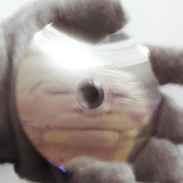 Imitation (how to become you)